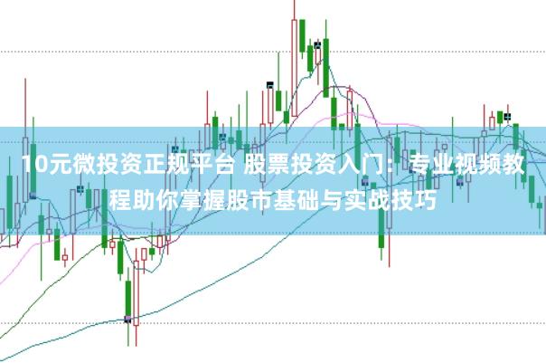 10元微投资正规平台 股票投资入门：专业视频教程助你掌握股市基础与实战技巧