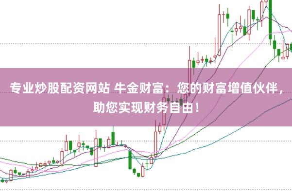 专业炒股配资网站 牛金财富：您的财富增值伙伴，助您实现财务自由！