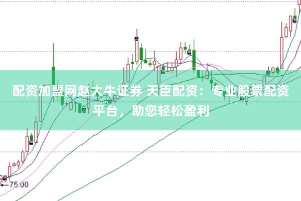 配资加盟网赵大牛证券 天臣配资：专业股票配资平台，助您轻松盈利