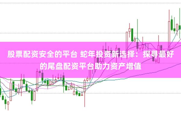 股票配资安全的平台 蛇年投资新选择：探寻最好的尾盘配资平台助力资产增值