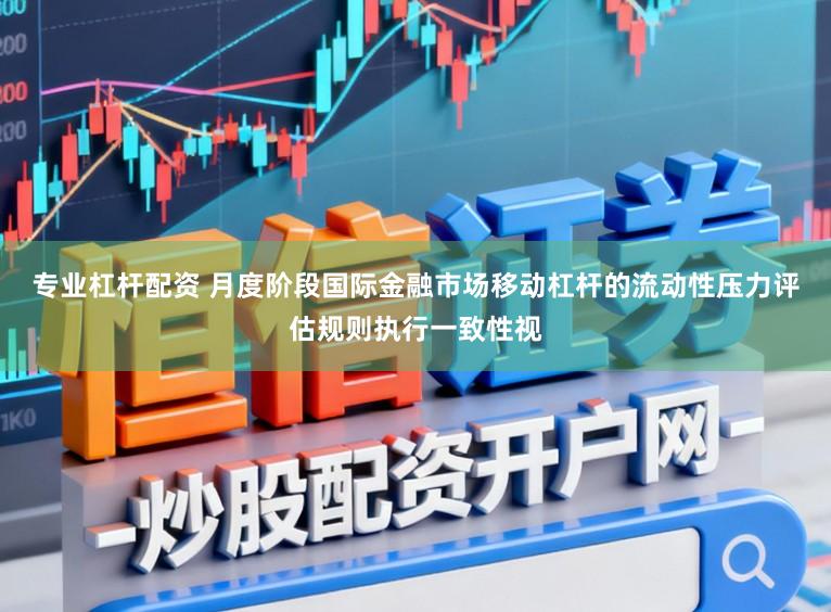 专业杠杆配资 月度阶段国际金融市场移动杠杆的流动性压力评估规则执行一致性视