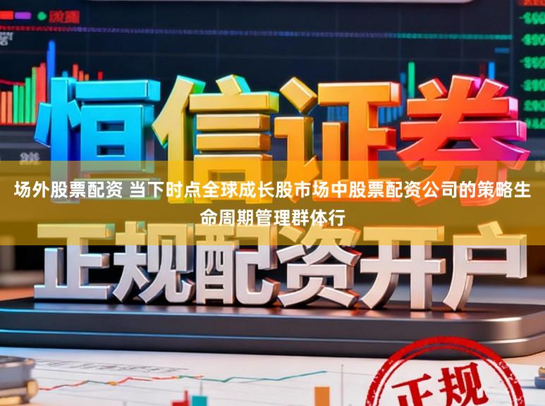 场外股票配资 当下时点全球成长股市场中股票配资公司的策略生命周期管理群体行